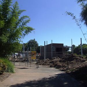 Tiger Enclosure Building Works at Jacksonville, 10/10/13