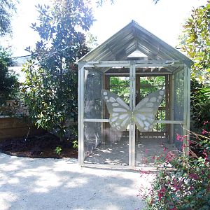 Butterfly Exhibit at Jacksonville, 10/10/13
