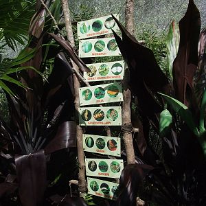 Butterfly Exhibit at Jacksonville, 10/10/13