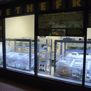 Amphibian Centre at Jacksonville, 10/10/13