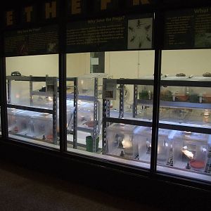 Amphibian Centre at Jacksonville, 10/10/13