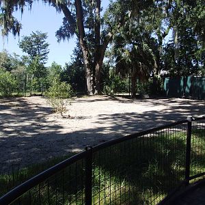 Kangaroo Paddock at Jacksonville, 10/10/13