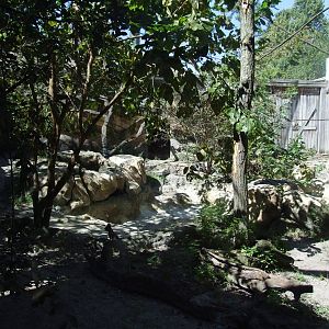 Anteater Enclosure at Jacksonville, 10/10/13