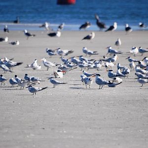 Huguenot Memorial Park, October 2013