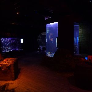 Shipwreck, November 2013.