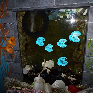 Recycling exhibit, November 2013.