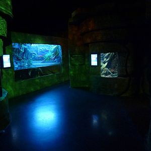 Seahorse temple, November 2013.