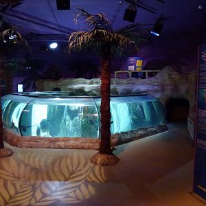 Bay of rays, November 2013.