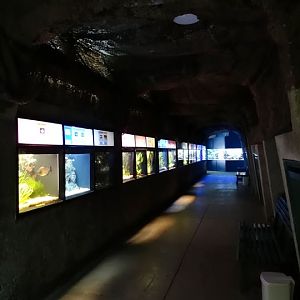 Pavilion of the aquarium