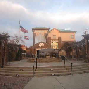 Festival of Lights 2013 - First Entrance