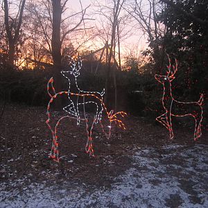 Festival of Lights 2013 - Holiday Decorations