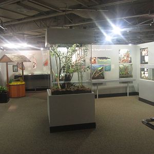 Festival of Lights 2013 - World of the Insect - Insect Lifestyles Section