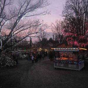 Festival of Lights 2013