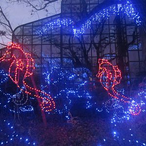 Festival of Lights 2013 - Manatee Springs Lights