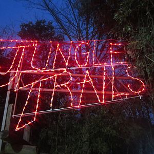Festival of Lights 2013 - Jungle Trails Entrance
