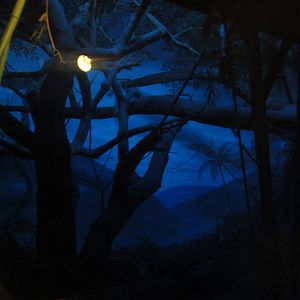 Festival of Lights 2013 - Jungle Trails - Aye-Aye Exhibit