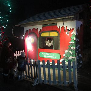 Festival of Lights 2013 - Talking Tigers