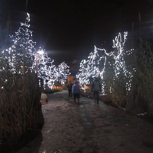 Festival of Lights 2013 - Africa Entrance