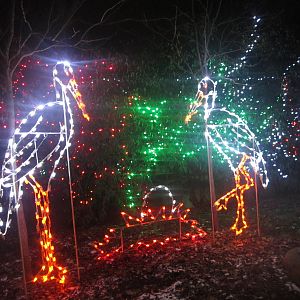 Festival of Lights 2013 - Children's Zoo