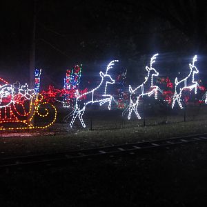 Festival of Lights 2013