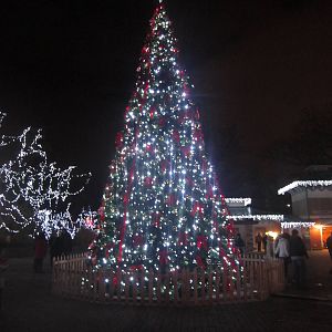 Festival of Lights 2013 - International Tree