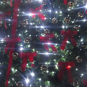 Festival of Lights 2013 - International Tree