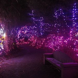 Festival of Lights 2013 - Fairyland Trail