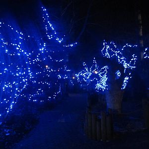 Festival of Lights 2013 - Garden of Peace