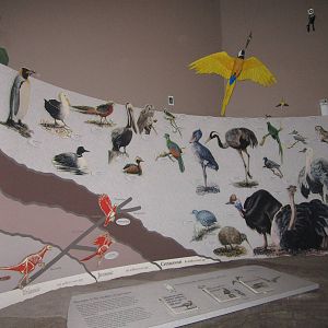 Festival of Lights 2013 - Wings of the World