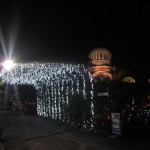 Festival of Lights 2013 - Elephant House