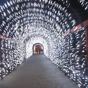 Festival of Light 2013 - Entrance Bridge