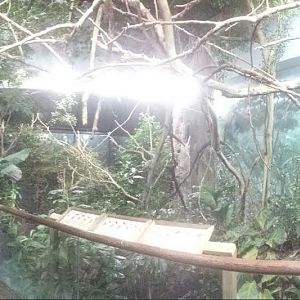 Festival of Light 2013 - Wings of the World - South America Panorama