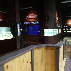 new aquatics building