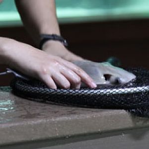 new aquatics building