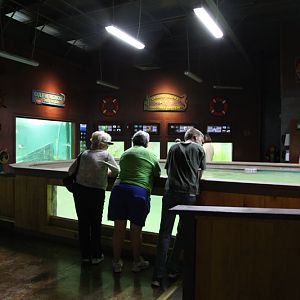 new aquatics building