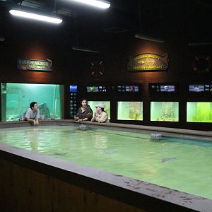 new aquatics building