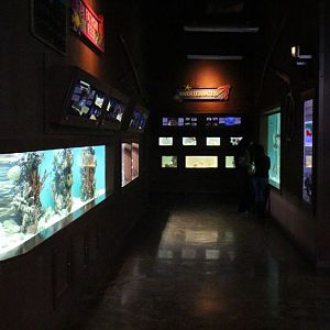 new aquatics building