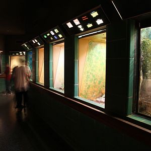 reptile house