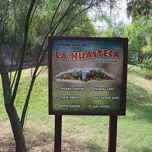 future south america