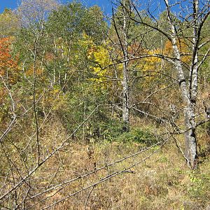 Yunnan snub-nosed monkey country!