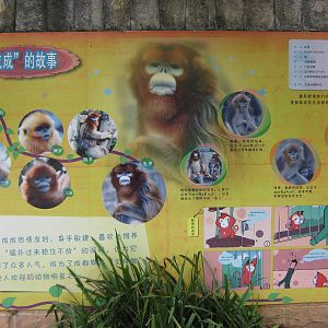 sign for golden snub-nosed monkey