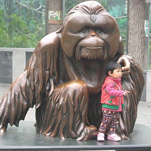 orangutan and friend