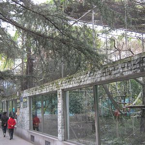 ring-tailed lemur cage