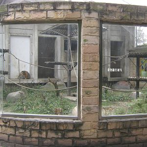 golden snub-nosed monkey cage