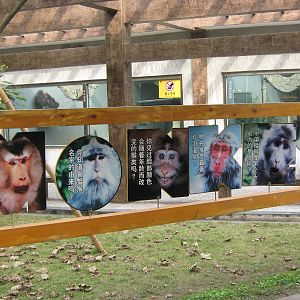 monkey sign by the macaque cages