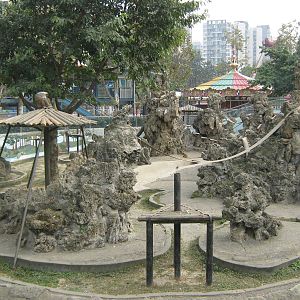 view of the rhesus macaque island