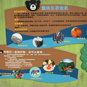 bear bile signage