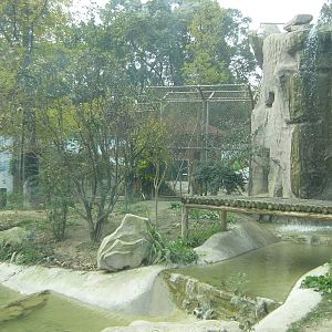 Siberian tiger enclosure