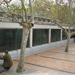 inside leopard cages
