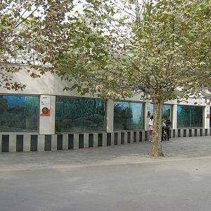 outside leopard cages